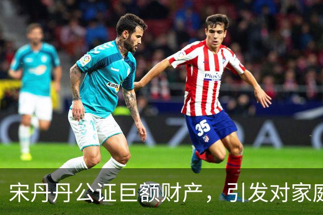 宋丹丹公证巨额财产，引发对家庭关系的热议